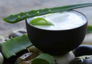 Aloe vera pour hydratation de la peau